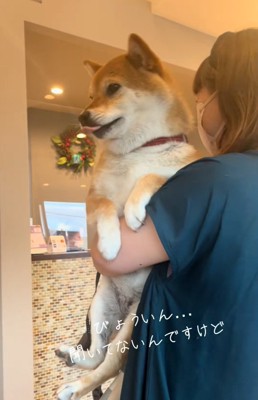 舌が出るあーちゃん