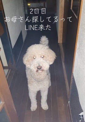 入院2日目も待ち続けるカールちゃん