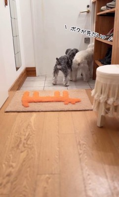 バンデくんとなぎちゃんの本当のおかえり5