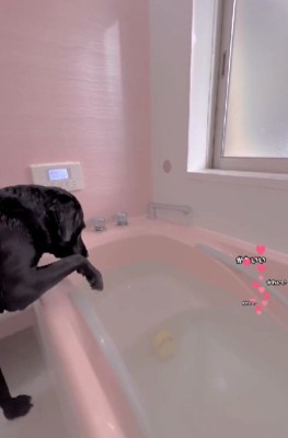 湯加減はどうかな？