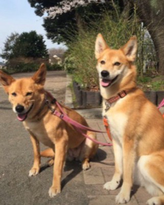 満面の笑みを見せてくれるように！