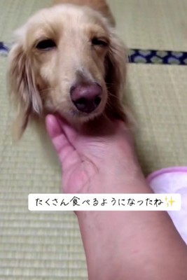 食欲旺盛な姿にホッコリ♡