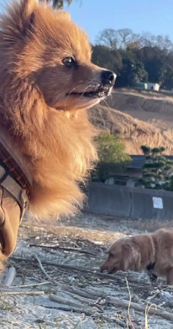 これからも幸せでね!