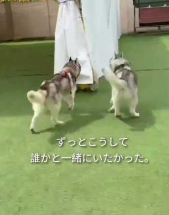 ずっと仲間が欲しかった