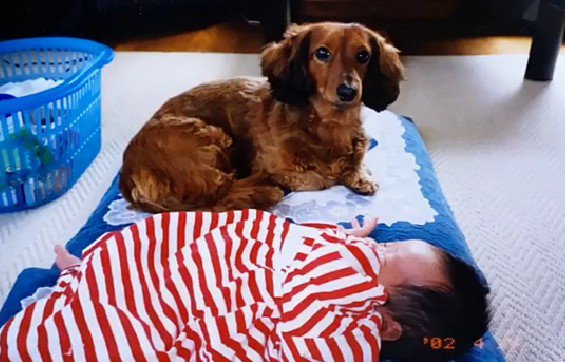 投稿主さん誕生