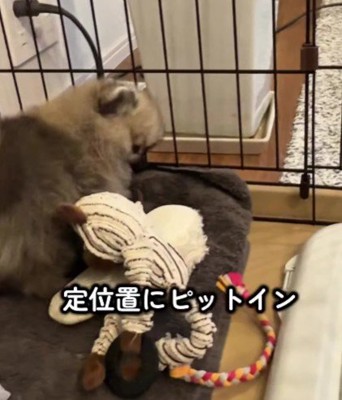 とっても気に入った♪