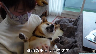 ザラザラだったけれど…
