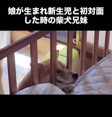 少しでも近くに!