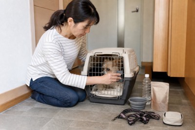 キャリーに入る犬.jpeg
