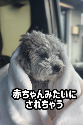 「もう6歳なのに…」