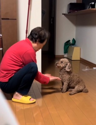 両手を広げるおばあちゃん