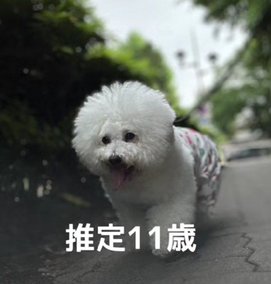 家族になって1年