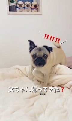 魔法の言葉で飛び起きるももこちゃん9
