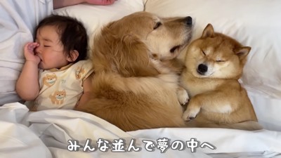 仲良しな3兄妹にホッコリ