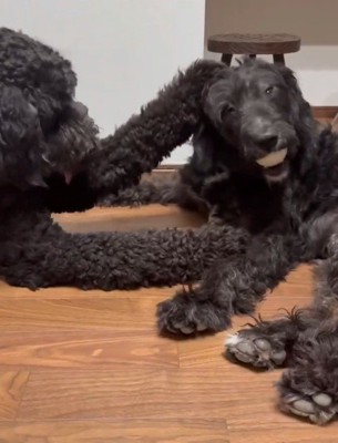 パンチを繰り出す一幕も♪