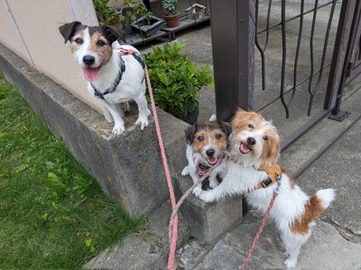 高くて細い段差も…