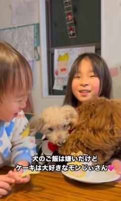 モンくんのお誕生日会9