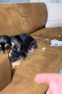 指をさされるまるちゃん