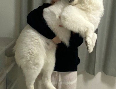 ママ