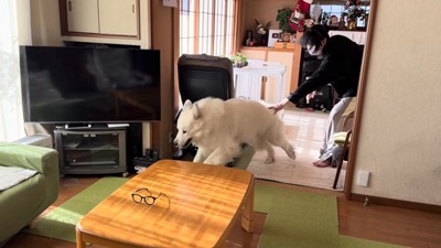 お風呂に入れたいパパVSドレミちゃん