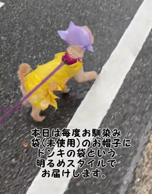絶妙なカラーコンビが素敵！