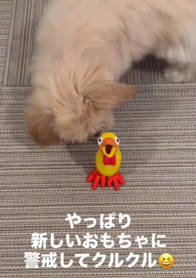 用心深い一面も…