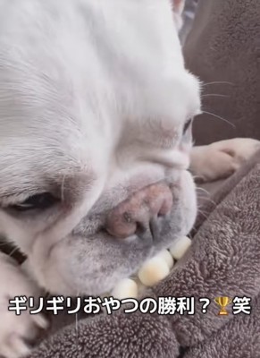 「んま！！」