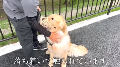 首元が触れるアトムくん