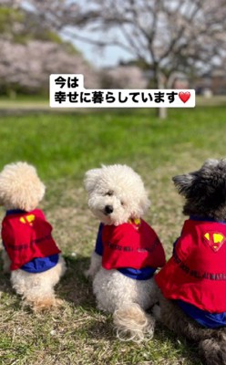 これからも幸せでね！