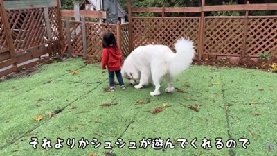 遊ぶふたり