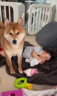 赤ちゃんを起こすポテくん2