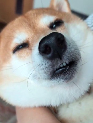 まるで親子のよう