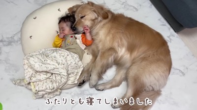 寝ちゃった！！