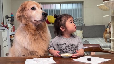 気まずそうな2人にクスッ