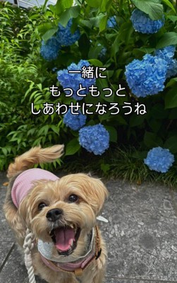 一緒に幸せになろう