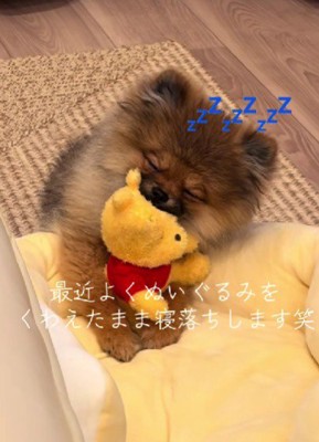 そのまま寝ちゃった！！