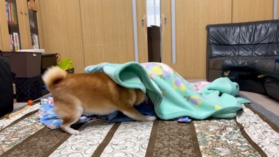 「生きとったんかワレ！」