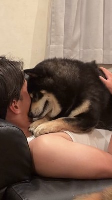 おでこを息子さんの顔にくっつける黒柴