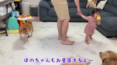 ほのちゃんはお昼寝の時間
