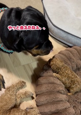 今ではすっかり仲良しコンビに