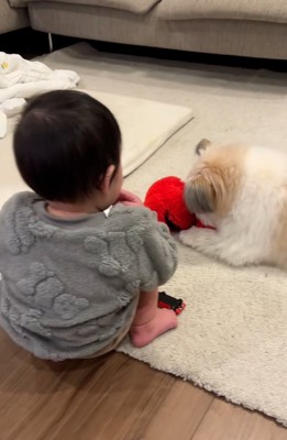 仲良しなふたり