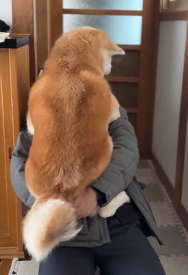 抱っこされるおはるちゃん