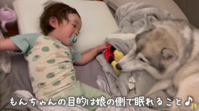 女の子が気になっていた…