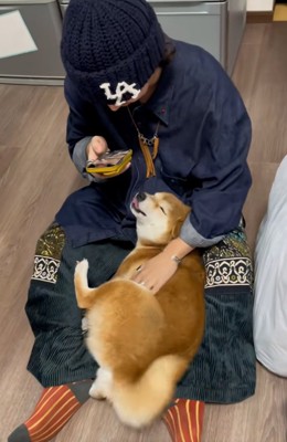 舌が出るコムギックスさん