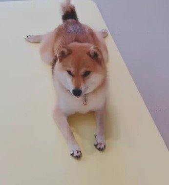 人間に近づいている…！？