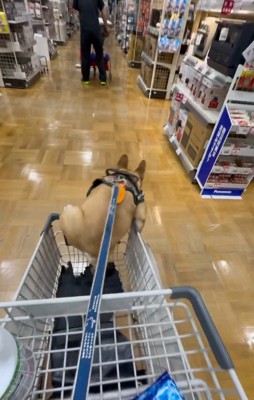 諦めずにトライ