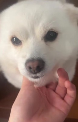 「会いたかったよ～」