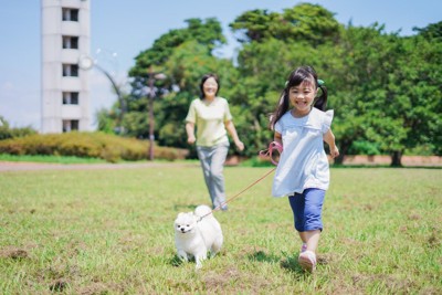 女の子と散歩する犬