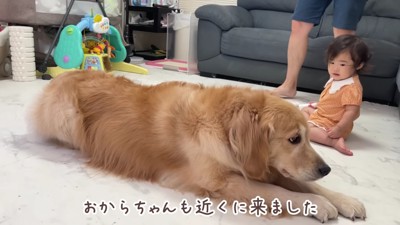 おからちゃんが寄ってきた