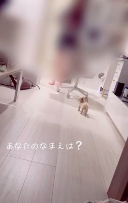 なまえを聞く友だち